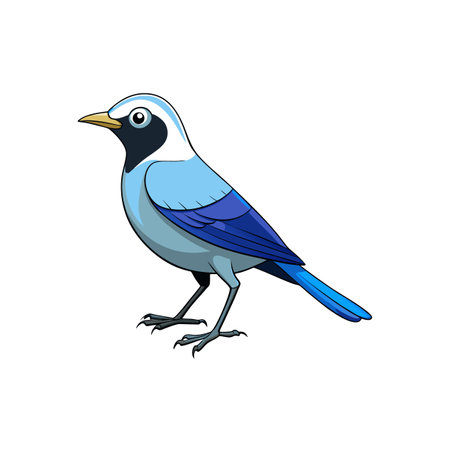 Cartoon blue scrub jay standing on a white backgroundのイラスト素材