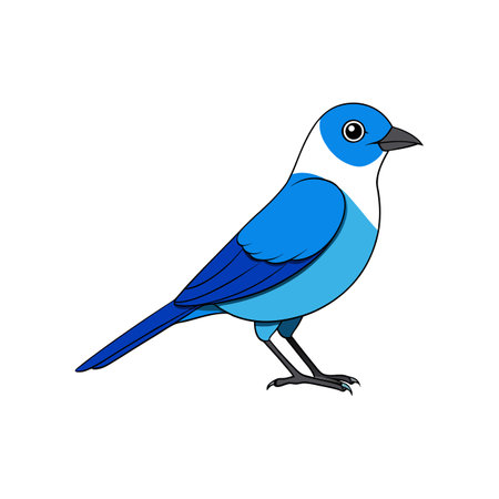 Cartoon Bluebird with black outlines on white backgroundのイラスト素材