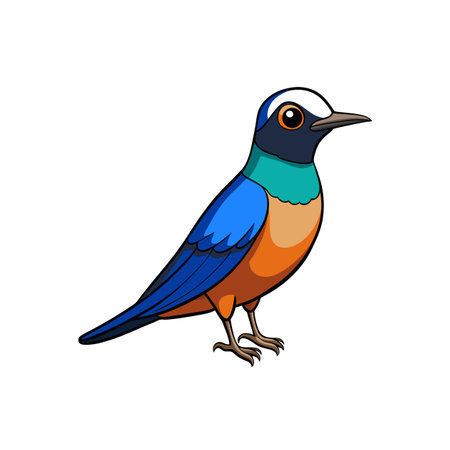 Cartoon illustration of a colourful starling bird in profileのイラスト素材