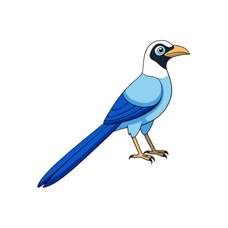 Cartoon Blue Bird Illustration Isolated on White Backgroundのイラスト素材
