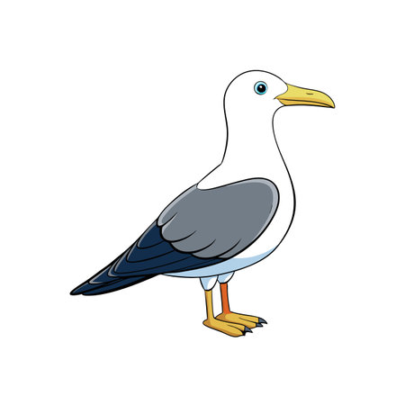 Cartoon seagull illustration standing on white background in vector formatのイラスト素材