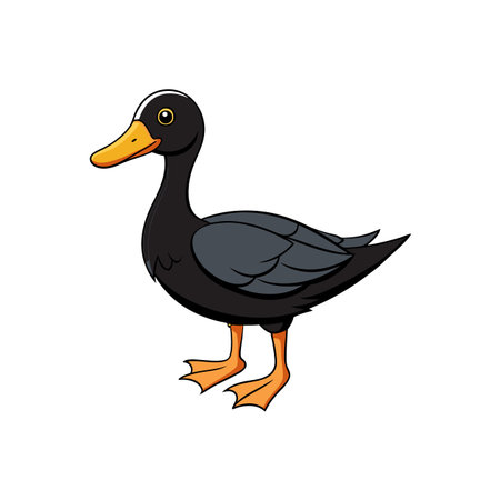 Cartoon illustration of black duck standing on a white backgroundのイラスト素材