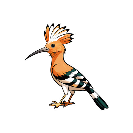 Elegant hoopoe bird illustration showcasing its distinctive plumage and formのイラスト素材
