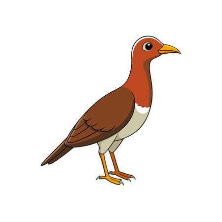 Cartoon brown bird standing isolated on white background imageのイラスト素材