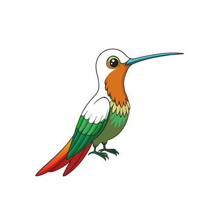 Vibrant cartoon hummingbird illustration with outstretched bill on whiteのイラスト素材