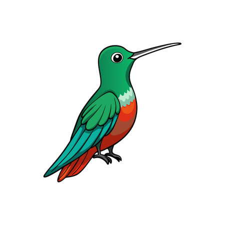 Vibrant cartoon hummingbird illustration on clean white backgroundのイラスト素材