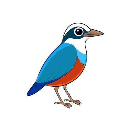 Colorful stylized blue bird illustration on a white backgroundのイラスト素材