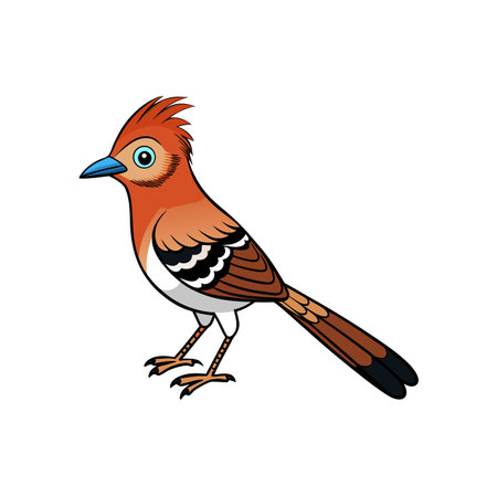 Cartoon style illustration of a bright orange crested birdのイラスト素材