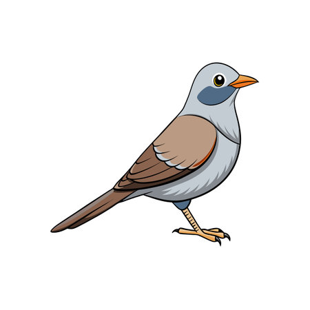 Illustration of songbird with gray head and orange beakのイラスト素材