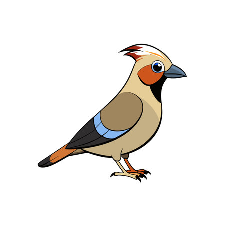 Cartoon bohemian waxwing bird illustration on white backgroundのイラスト素材