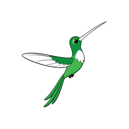 Cute green hummingbird cartoon illustration on white backgroundのイラスト素材