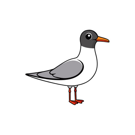 Cartoon style seagull standing sideways in vector illustrationのイラスト素材