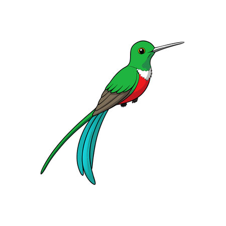 Animated quetzal bird with long tail on white backgroundのイラスト素材