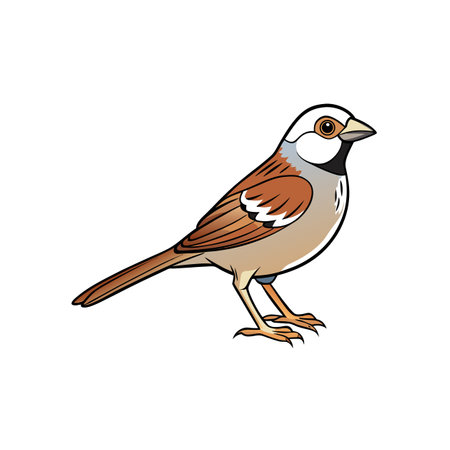 Cartoon illustration of a house sparrow standing sideways viewのイラスト素材