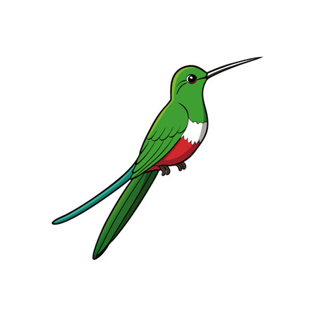 Vibrant green hummingbird illustration with long tail on branchのイラスト素材