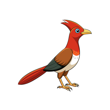 Cartoon illustration of a colorful exotic bird standing profileのイラスト素材