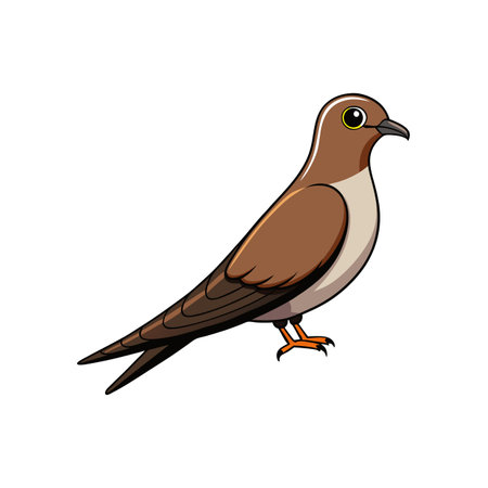 Elegant brown cuckoo bird illustration on a white backgroundのイラスト素材
