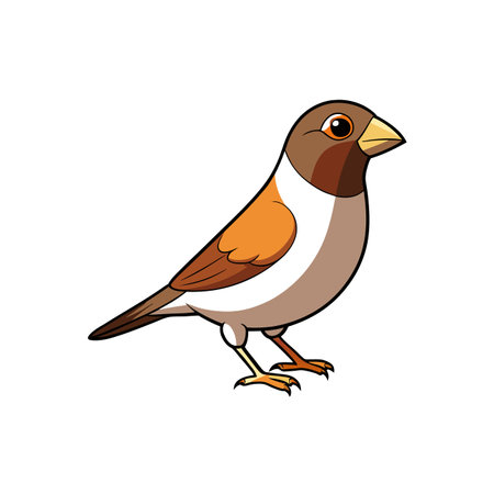 Cartoon bird illustration in brown and white isolatedのイラスト素材