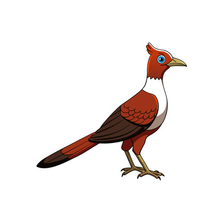 Cartoon roadrunner bird standing profile graphic for children's designsのイラスト素材