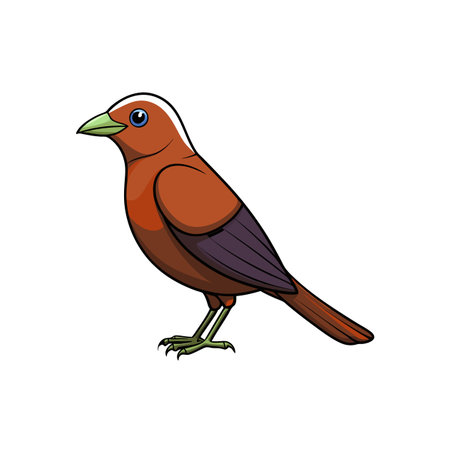 Cartoon tanager bird in profile with bold outline styleのイラスト素材