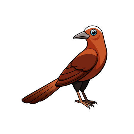 Cartoon brown bird standing on the ground, looking backのイラスト素材
