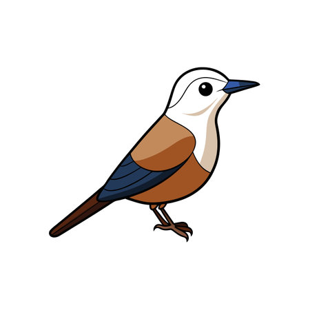 Cartoon bird illustration on white background in vector formatのイラスト素材