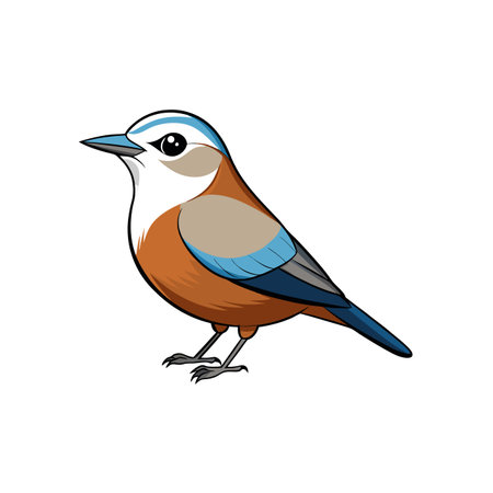 Cartoon bird illustration with blue white and brown coloringのイラスト素材