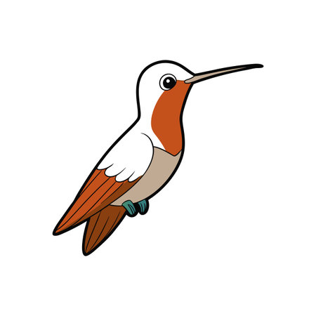 Colorful cartoon hummingbird with a long beak illustrationのイラスト素材