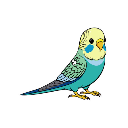 Cute cartoon budgerigar illustration against a white background imageのイラスト素材