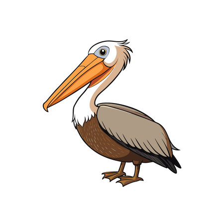 Cartoon pelican illustration with large bill and feathery detailのイラスト素材