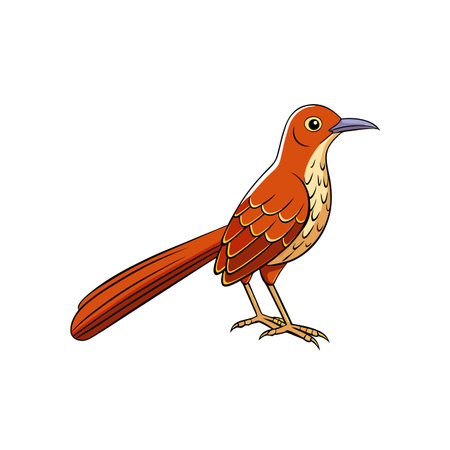 Cartoon style long tailed bird with outlined feathers