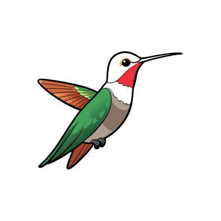 Cartoon hummingbird with vibrant colors in graphic style artのイラスト素材