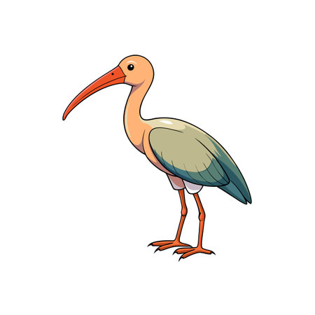 Isolated Cartoon Illustration of a Standing Ibis Birdのイラスト素材