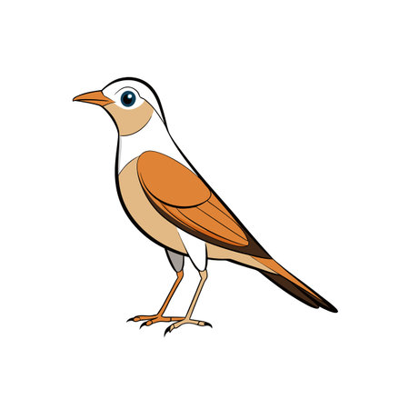 Cartoon illustration of a nightingale bird on white backgroundのイラスト素材