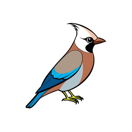 Illustration of a colorful eurasian jay bird on white backgroundのイラスト素材