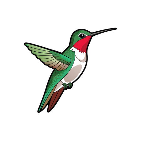 Cartoon illustration of a ruby throated hummingbird in flightのイラスト素材