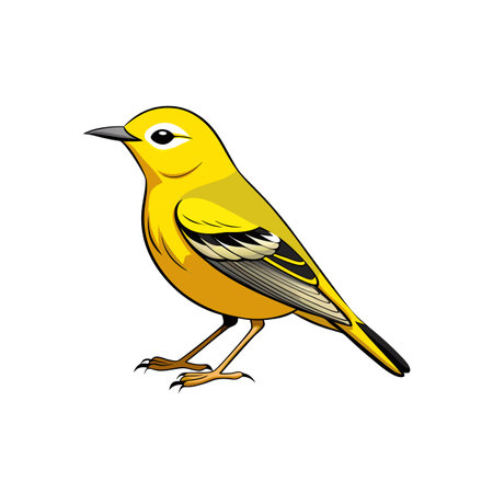 Yellow warbler bird illustration standing isolated on white backgroundのイラスト素材