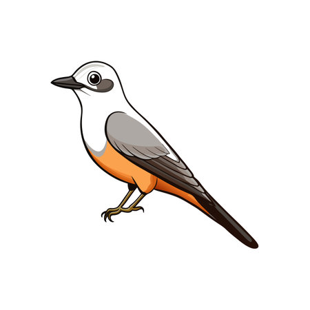 Cartoon tropical bird isolated on white background illustrationのイラスト素材