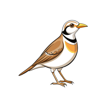 Cartoon style lark image standing against a white backgroundのイラスト素材