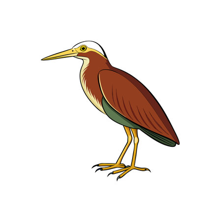 Striking heron illustration with bold lines and bright colorsのイラスト素材