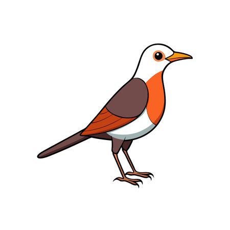 Cartoon bird with red orange plumage on a white backgroundのイラスト素材