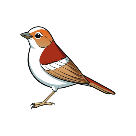 Illustration of a colorful sparrow with detailed featuresのイラスト素材