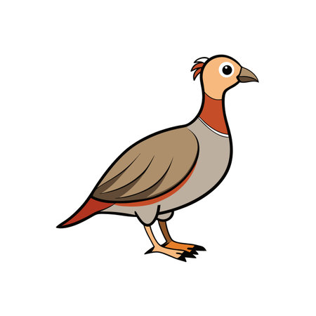 Cartoon bird illustration with simple shapes and bold outlinesのイラスト素材