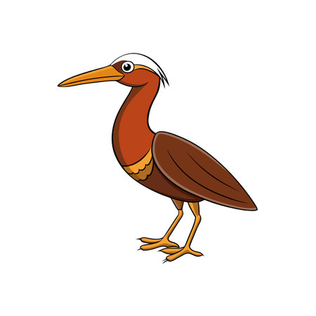 Cartoon brown heron with long beak standing isolatedのイラスト素材
