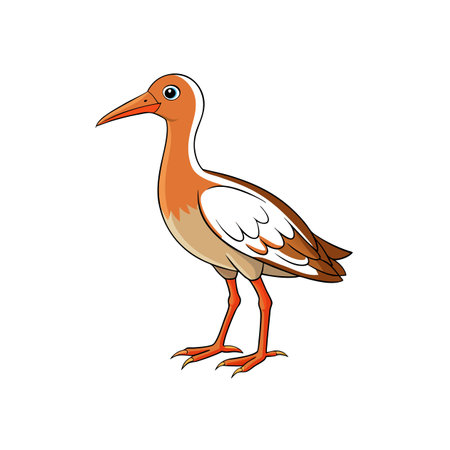 Cartoon style long-legged bird illustration on white backgroundのイラスト素材