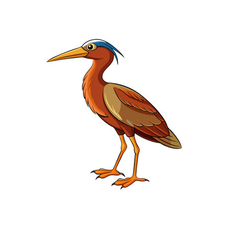 Cartoon heron with long beak standing straight and tallのイラスト素材