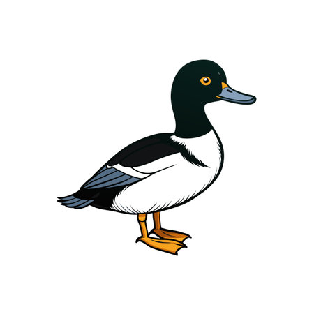 Cartoon duck illustration with vibrant colors and clean linesのイラスト素材