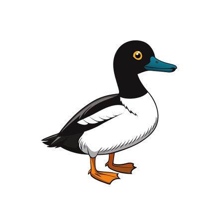 Cartoon duck standing on a white background illustrationのイラスト素材