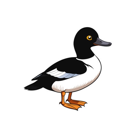 Cartoon Illustration of a Cute Black and White Duckのイラスト素材