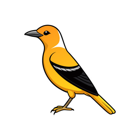 Cartoon image of a bright oriole bird standingのイラスト素材